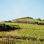 酒店 Akzent Berg's Alte Bauernschaenke- Wellness Und Wein 4*
