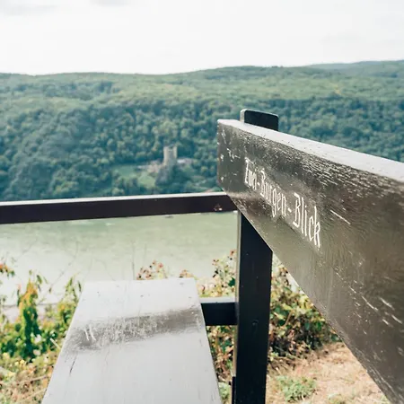 Akzent Berg's Alte Bauernschaenke- Wellness Und Wein 로데스하임암라인