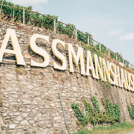 Akzent Berg's Alte Bauernschaenke- Wellness Und Wein 호텔 4*