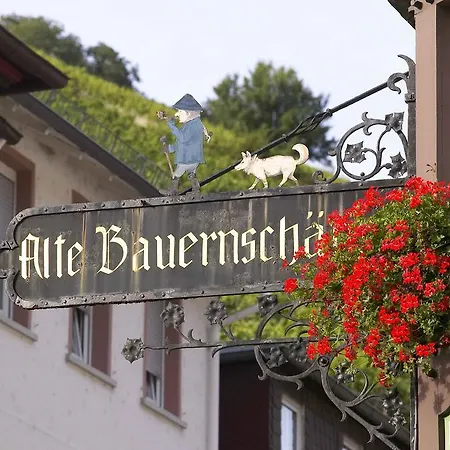 Akzent Berg's Alte Bauernschaenke- Wellness Und Wein 호텔 4*