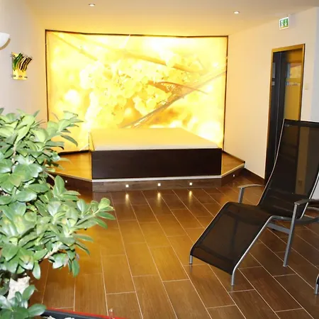 Akzent Berg's Alte Bauernschaenke- Wellness Und Wein Hotel Ruedesheim am Rhein