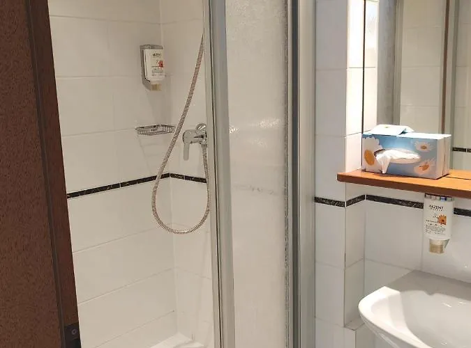 Akzent Berg's Alte Bauernschaenke- Wellness Und Wein Hotel 4*