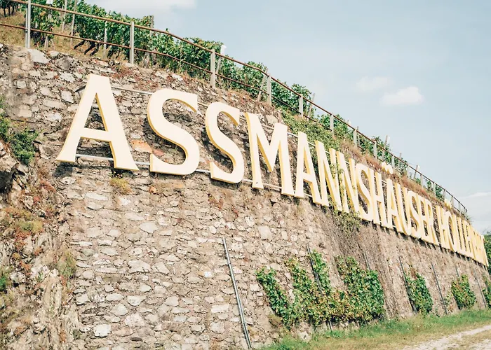 Akzent Berg's Alte Bauernschaenke- Wellness Und Wein Hotel 4*