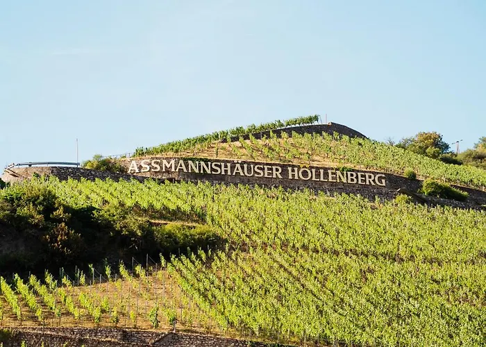 Hotel Akzent Berg's Alte Bauernschaenke- Wellness Und Wein 4*