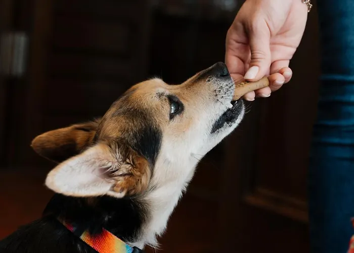 Hotel Akzent Berg's Alte Bauernschaenke- Wellness Und Wein 4*