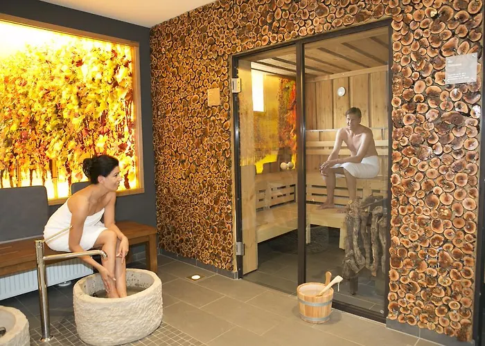 Hotel Akzent Berg's Alte Bauernschaenke- Wellness Und Wein Rüdesheim am Rhein